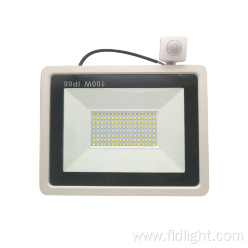 led floodlight for garden